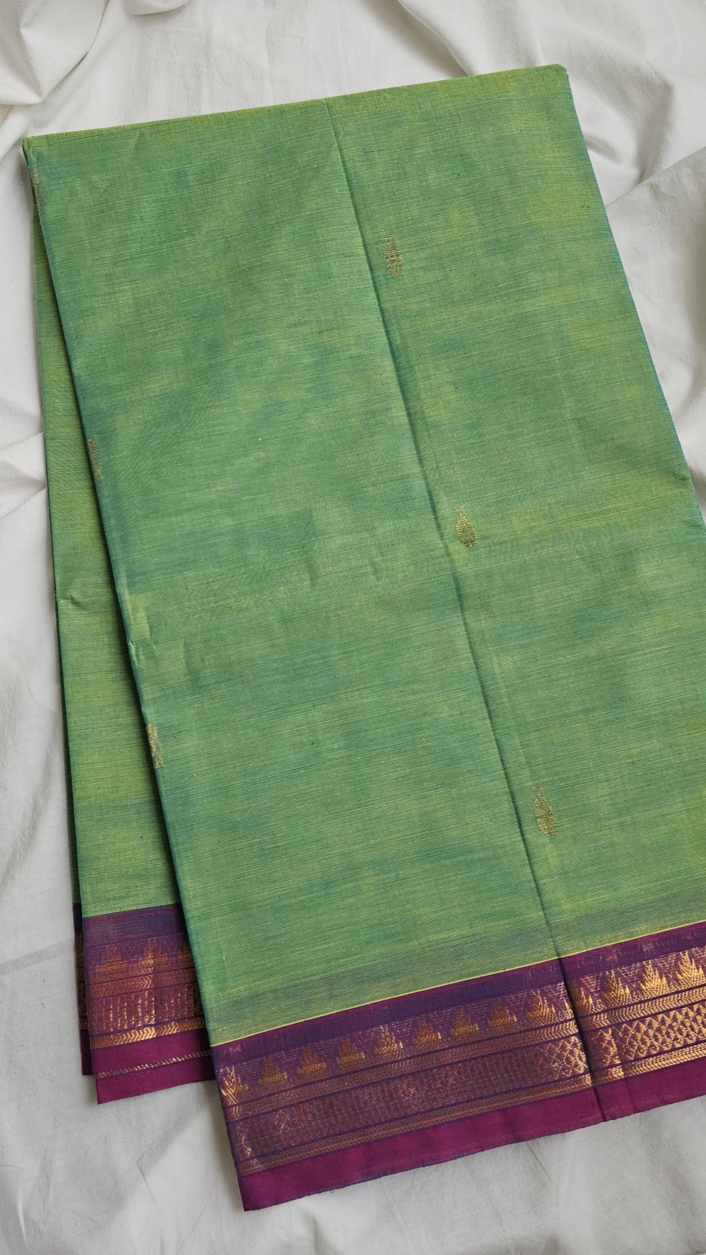 Green Kanchi Cotton with purple border